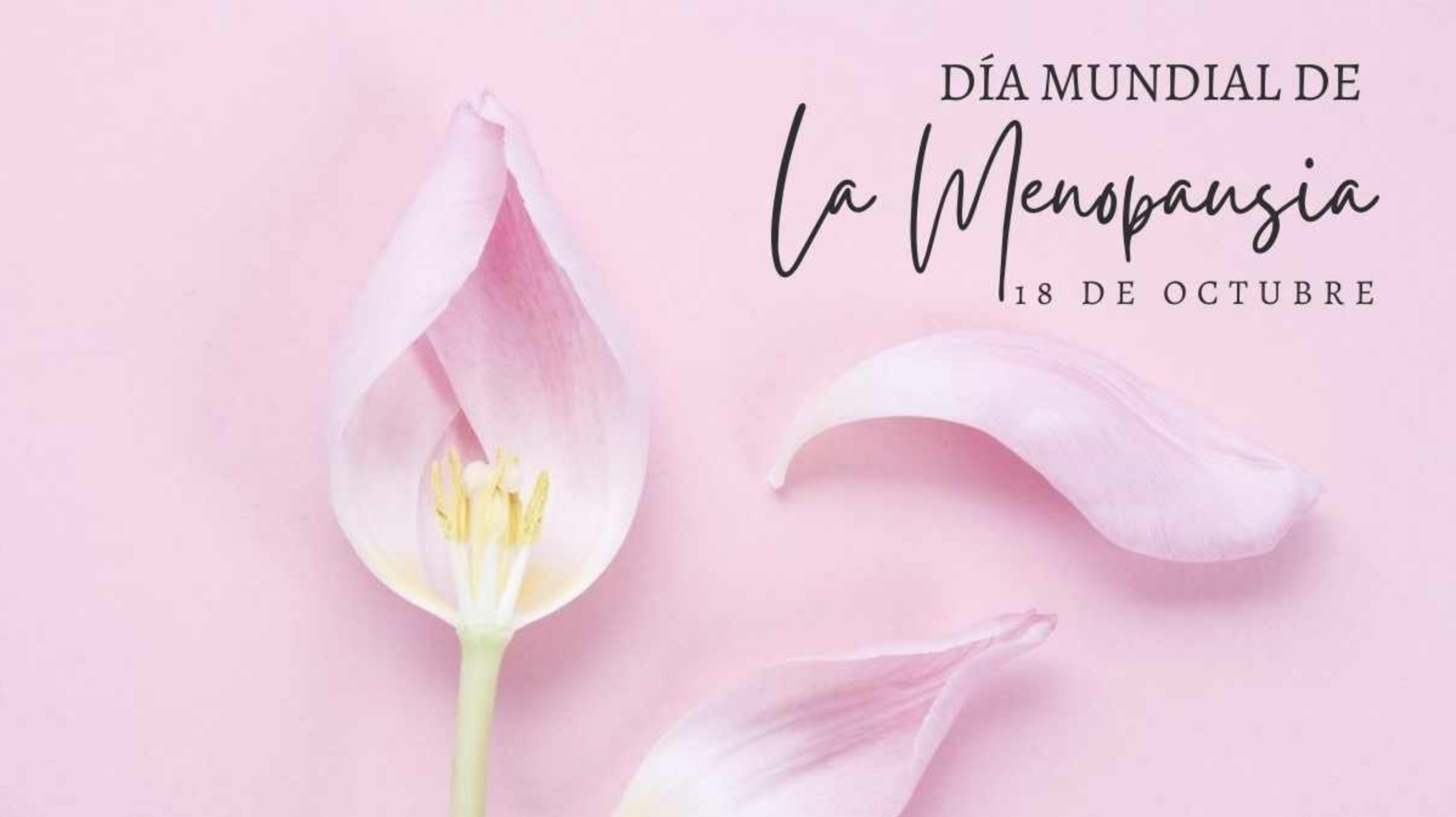 Día mundial de la menopausia